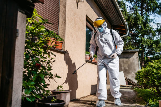 Best Local Pest Control Services  in Lost Hills, CA