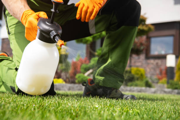 Best Bird Control  in Lost Hills, CA