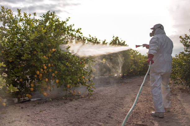 Best Best Pest Control Companies  in Lost Hills, CA