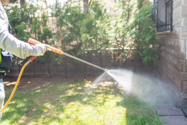 Best Flea Control Services  in Lost Hills, CA