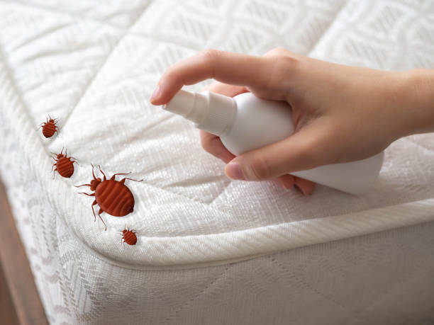 Best Pest Inspection Near Me  in Lost Hills, CA