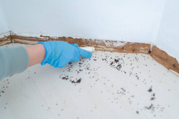 Best Commercial Pest Control Services  in Lost Hills, CA